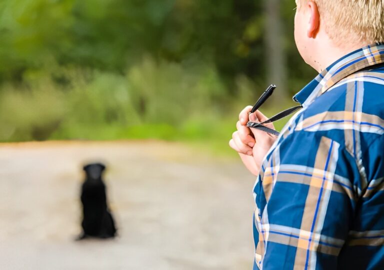 Best Tips for Dog Training with a Whistle