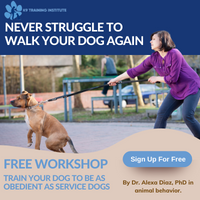 K9 Training Institute