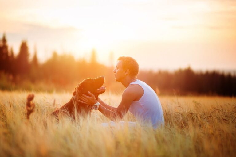 10 Mistakes New Dog Owners Make and How to Fix Them