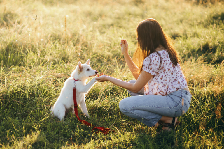 Top 10 Fun Ways to Turn Your Pup into a Pawsome Companion!