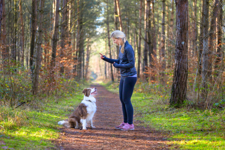 6 Easy Ways to Train Your Dog to Greet Guests Politely