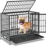 best dog crates
