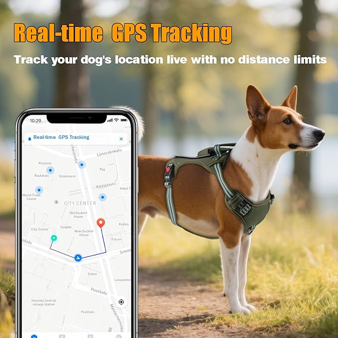 DreamBee app GPS view