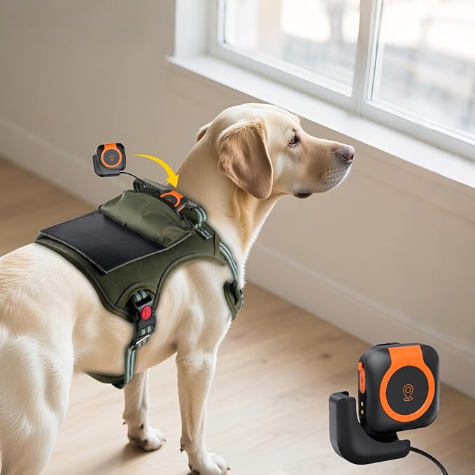 DreamBee Solar-Powered GPS Pet Tracker