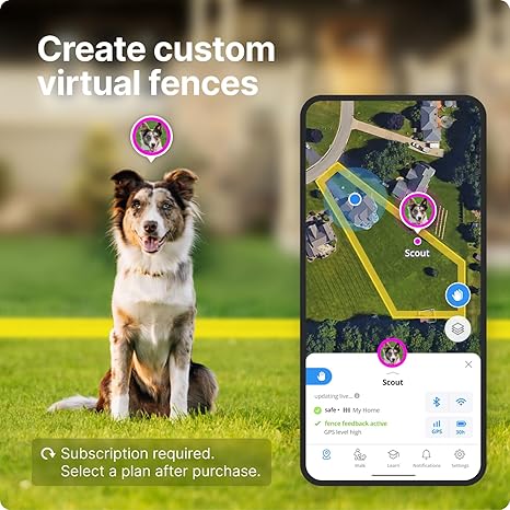 Halo Collar app info view