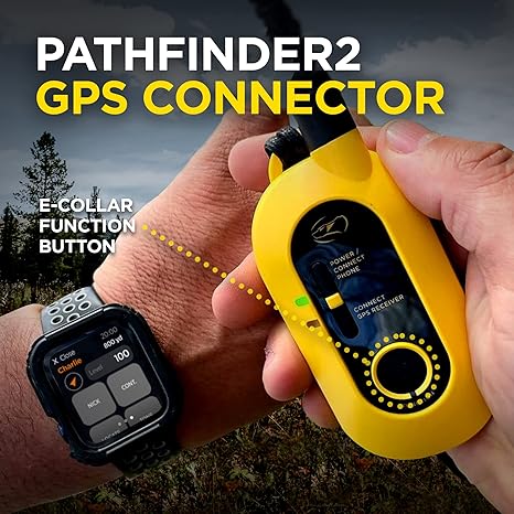 Dogtra Pathfinder 2 info