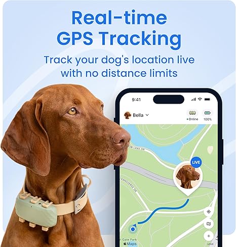 Tractive GPS map view