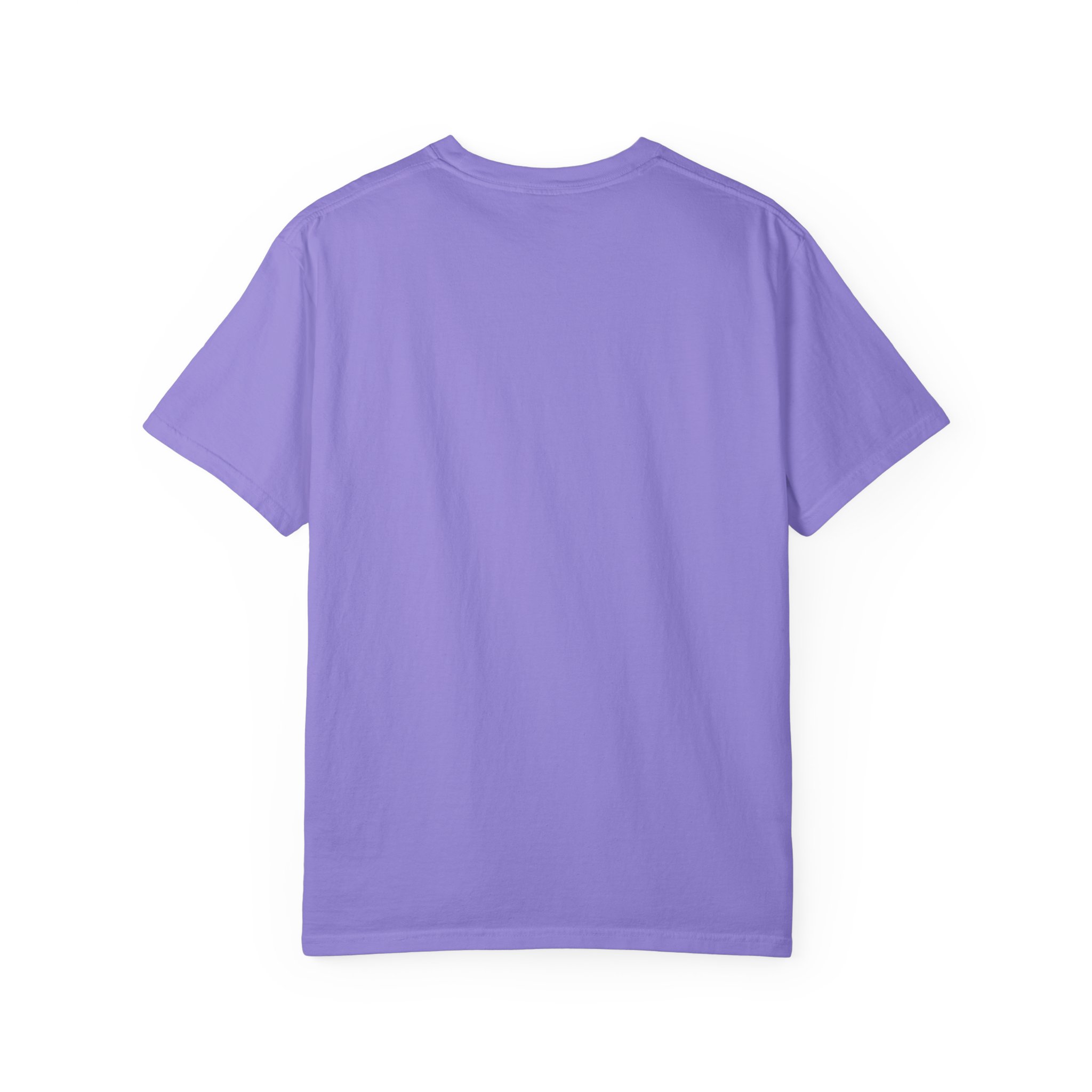 Zero Fetches Given Chihuahua T-Shirt | Frost-Covered Dog Portrait - Image 46