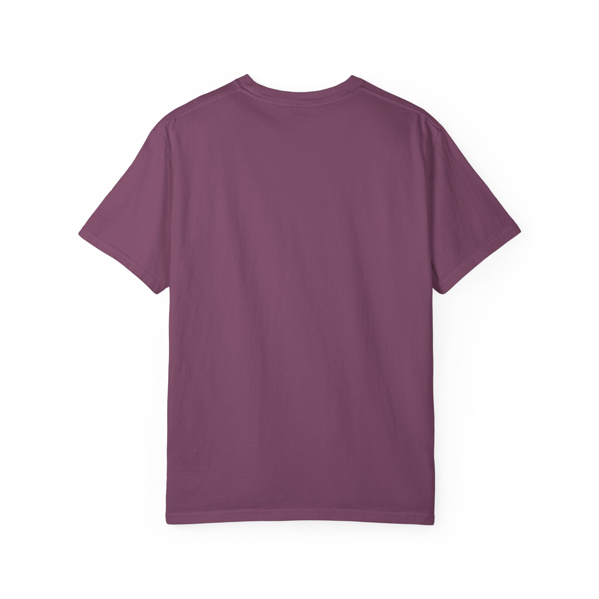 Zero Fetches Given Chihuahua T-Shirt | Frost-Covered Dog Portrait - Image 58